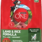 Purina ONE Lamb and Rice Formula Dry Dog Food for Digestive Support