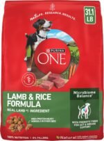Purina ONE Lamb and Rice Formula Dry Dog Food for Digestive Support