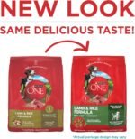 Purina ONE Lamb and Rice Formula Dry Dog Food for Digestive Support - Image 2