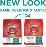 Purina ONE Plus Digestive Health Dry Dog Food, Chicken, 16.5 lb Bag - Image 2
