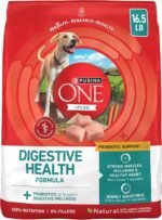 Purina ONE Plus Digestive Health Dry Dog Food, Chicken, 16.5 lb Bag