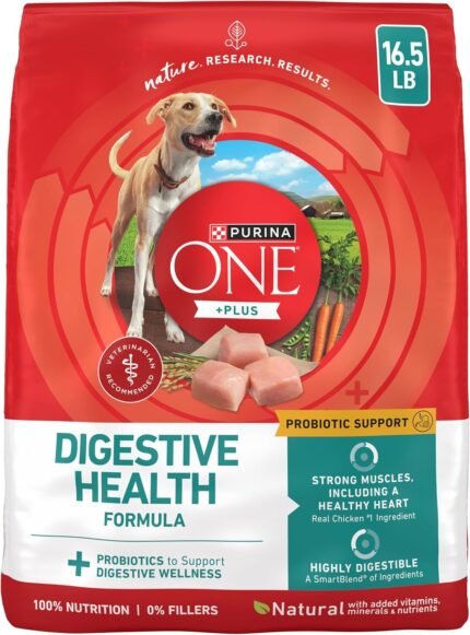 Purina ONE Plus Digestive Health Dry Dog Food, Chicken, 16.5 lb Bag