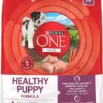 Purina ONE Plus Healthy Puppy Dry Food, Chicken, 16.5 lb Bag