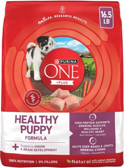 Purina ONE Plus Healthy Puppy Dry Food, Chicken, 16.5 lb Bag
