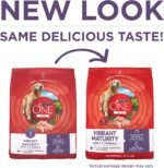 Purina ONE Plus Senior Dry Dog Food, Adult 7+, 8 lb Bag - Image 2