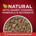 Purina ONE True Instinct High Protein Wet Dog Food, (12) 13 oz Cans - Image 2