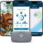 Purina Petivity Dog GPS Tracker Collar, Activity and Real Time Tracking
