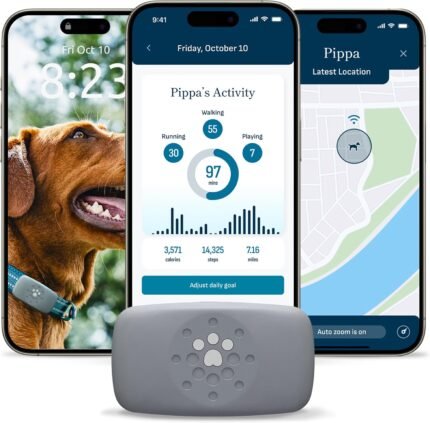 Purina Petivity Dog GPS Tracker Collar, Activity and Real Time Tracking