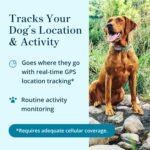 Purina Petivity Dog GPS Tracker Collar, Activity and Real Time Tracking - Image 2
