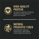Purina Pro Plan Complete Essentials Beef & Rice Dry Dog Food, 35 lb Bag - Image 2