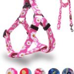 QQPETS Dog Harness Leash Set Adjustable Heavy Duty No Pull Halter Harnesses for Small Medium Large Breed Dogs Back Clip Anti-Twist Perfect for Walking (XS(12″-18″ Chest Girth), Daisy)