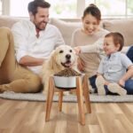 RAINBLELAND Raised Wooden Dog Bowl Stand for Large Dogs, Fits 9 Inch Bowls - Image 2