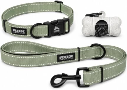 RBX Dog Collar and Leash Set for Large Dogs, Complete Collar Walk Kit with 5 ft Leash, Adjustable Collar, Poop Bag Dispenser and Waste Bags, Reflective Detail, Large Pet Walking Set