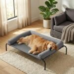 RRPETHOME Elevated Cooling Dog Cot 43×31″, Large Raised Outdoor Dog Bed
