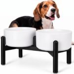Raised Ceramic Dog Bowl Set with Stand, 3.5 Cups Elevated Dog Food Stand