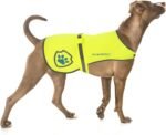 Reflective Dog Coat for Safety – Ideal Dog Vest for High-Visibility When Walking, Jogging or Training – Sizes to Fit Small, Medium, Large Breeds 16-130 lbs (Large) Neon Yellow