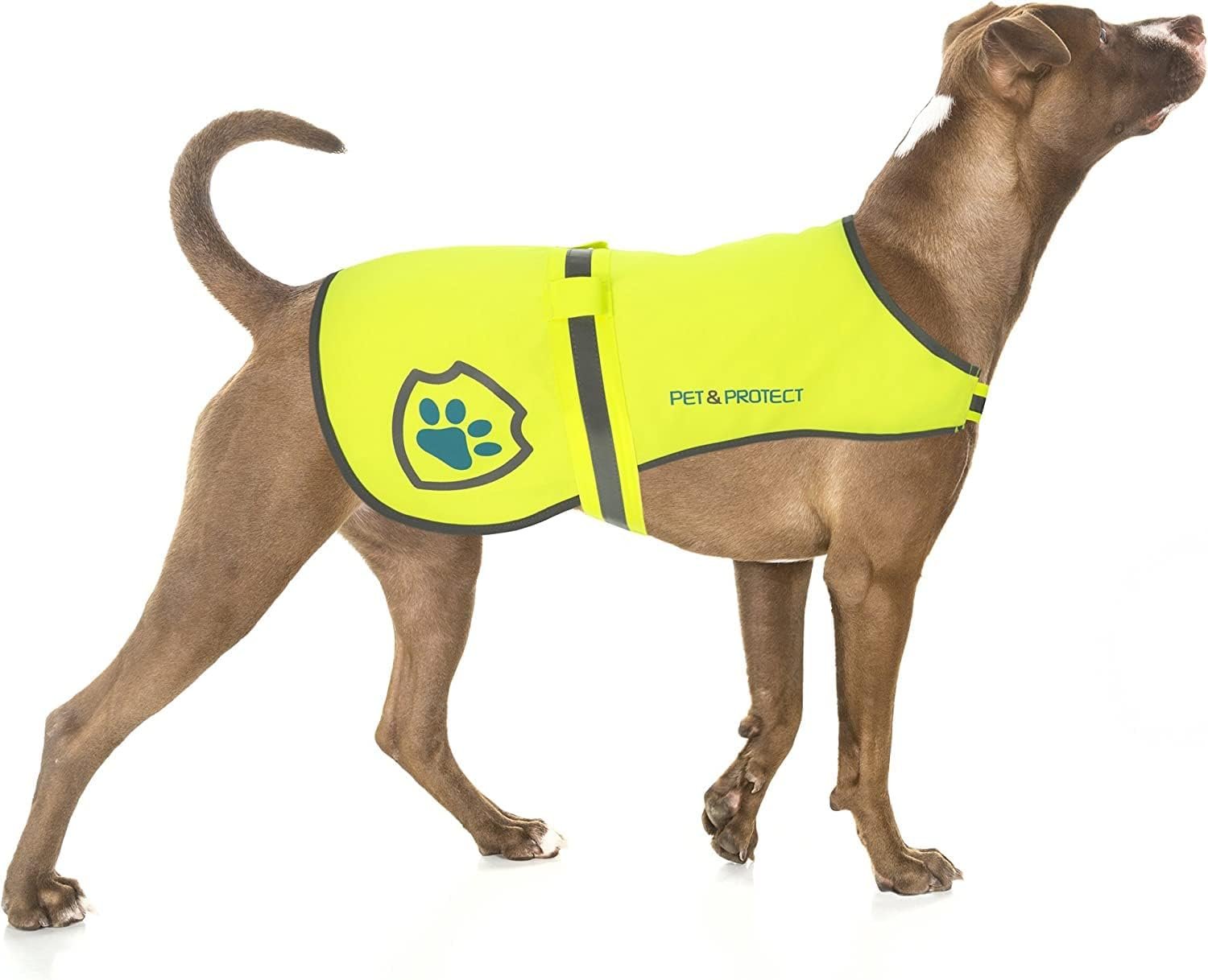 Reflective Dog Coat for Safety – Ideal Dog Vest for High-Visibility When Walking, Jogging or Training – Sizes to Fit Small, Medium, Large Breeds 16-130 lbs (Large) Neon Yellow Reflective Dog Coat for Safety – Ideal Dog Vest for High-Visibility When Walking, Jogging or Training – Sizes to Fit Small, Medium, Large Breeds 16-130 lbs (Large) Neon Yellow