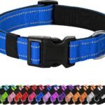 Reflective Dog Collar, Adjustable Nylon for Medium Dogs,Blue