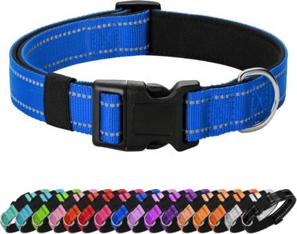 Reflective Dog Collar, Adjustable Nylon for Medium Dogs,Blue