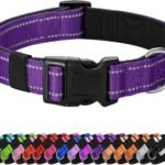 Reflective Dog Collar, Adjustable Nylon for Medium Dogs,Purple