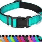 Reflective Dog Collar, Adjustable Soft Neoprene Padded,Teal,M