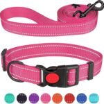 Reflective Dog Collar and Leash Set with Safety Locking Buckle Nylon Pet Collars Adjustable for Small Medium Large Dogs 3 Sizes(Hotpink&S)