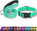 Reflective Dog Collar with Safety Locking Buckle, Adjustable Soft Breathable Nylon Collars for Small, Medium and Large Dogs(Collar+Leash XS Width 5/8" Turquoise)