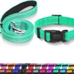 Reflective Dog Collar with Safety Locking Buckle, Adjustable Soft Breathable Nylon Collars for Small, Medium and Large Dogs(Collar+Leash XS Width 5/8″ Turquoise)