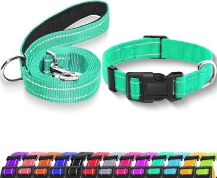 Reflective Dog Collar with Safety Locking Buckle, Adjustable Soft Breathable Nylon Collars for Small, Medium and Large Dogs(Collar+Leash XS Width 5/8" Turquoise)
