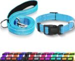Reflective Dog Collar with Safety Locking Buckle (Collar+Leash)