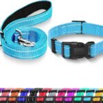 Reflective Dog Collar with Safety Locking Buckle (Collar+Leash)