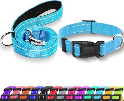 Reflective Dog Collar with Safety Locking Buckle (Collar+Leash)