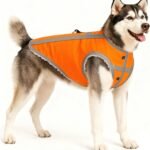 Reflective Dog Hunting Vest, High-Visibility Blaze Orange Dog Jacket, XL