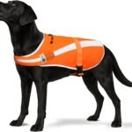 Reflective Dog Hunting Vest – Blaze Orange Safety Vest with Removable Bell, Waterproof and Lightweight (M)