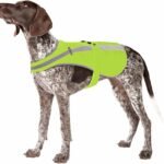 Reflective Dog Vest for Large and XL Breeds, High Visibility Dog Safety Vest with Removable Bell Keep Safe from Hunting, Training & Cars Accidents(Green,Large)