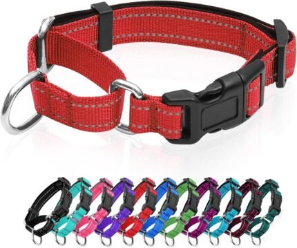 Reflective Martingale Dog Collars. Dog Collar with Quick Release Buckle. Adjustable Soft Padded Breathable Nylon Pet Collar Suitable for Puppies for Small Medium Large Dogs.