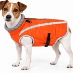 Reflective Orange Dog Hunting Vest, Warm Dog Winter Coat for Outdoor Use