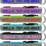 Reflective Personalized Dog Collar – Custom Embroidered Dog Collars with Pet Name and Phone Number for Boy and Girl Dogs, 4 Adjustable Sizes, XSmall,Small, Medium and Large
