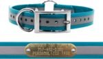 Reflective Waterproof D & Center Ring Dog Collar w Custom Name Tag, Teal