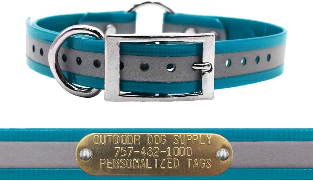 Reflective Waterproof D & Center Ring Dog Collar w Custom Name Tag, Teal Reflective Waterproof D & Center Ring Dog Collar w Custom Name Tag, Teal