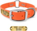 Regal Dog Products Engraved Name Plate Dog Collar, Biothane, Large Orange