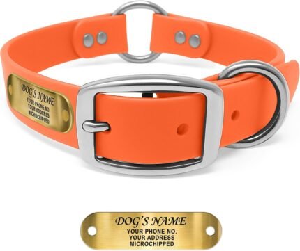Regal Dog Products Engraved Name Plate Dog Collar, Biothane, Large Orange
