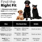 Regal Dog Products Reflective Dog Collar, Durable Metal, Large Orange