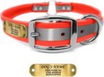 Regal Dog Products Reflective Dog Collar, Engraved Nameplate, Medium Orange