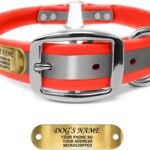 Regal Dog Products Reflective Dog Collar, Engraved Nameplate, Medium Orange