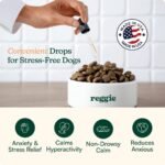 Reggie Anytime Calming Drops for Dogs | Dog Anxiety Relief with L-Theanine, Melatonin, GABA & Chamomile | Fast-Acting Calming Support for Stress, Separation Anxiety, Travel & Thunderstorms | 2 fl oz - Image 2