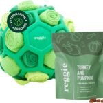 Reggie Dog Training Treats with Enrichment Toy | Turkey & Pumpkin Dog Treats + Forager Ball | Low-Calorie High-Protein Rewards | Mental Stimulation for Dogs | 340 Treats