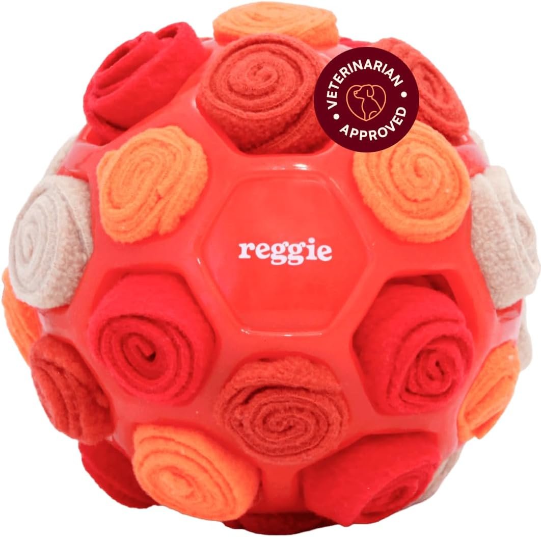 Reggie Snuffle Ball for Dogs | Interactive Treat Dispensing Dog Enrichment Toys | Reduces Boredom, Stress & Hyperactivity | Snuffle Toys for Dogs | Washable Dog Puzzle Toy I Red Reggie Snuffle Ball for Dogs | Interactive Treat Dispensing Dog Enrichment Toys | Reduces Boredom, Stress & Hyperactivity | Snuffle Toys for Dogs | Washable Dog Puzzle Toy I Red