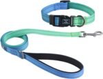 Roses&Poetry Bluegreen Small Dog Collar and Leash Set, Puppy Reflective Leashes with Collars, Adjustable Durable Matching Collar Leash for Small Dogs Girl (Bluegreen-XS)