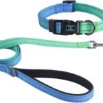 Roses&Poetry Bluegreen Small Dog Collar and Leash Set, Puppy Reflective Leashes with Collars, Adjustable Durable Matching Collar Leash for Small Dogs Girl (Bluegreen-XS)